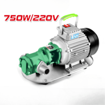 AWT 오일펌프 경유펌프 볼류트펌프 전기 추출기 기름 급유기 고압, 공업급 750W220V