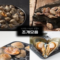 자연산 생합 바지락 동죽 키조개 돌조개 참가리비 1kg, 홍맛조개 살500g