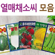 살아있는 씨앗 모음 열매씨앗 여주 우엉 박 토마토 참외 수박 오이 호박 가지 옥수수 깨 콩 팥 수수 밀 배추 양배추 열무 알타리 당근 무 비트 콜라비 고추 파프리카 종자, L-잎쌈청배추 x 1개, 1개