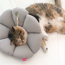 고양이중성화넥카라 쿠션목보호대 강아지발바닥상처 동물깔대기 소형견 치료용깔대기