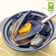 욜로켓 자숙 피홍합 살통통 급냉 400g, [Y49] 자숙 냉동 피홍합 400g