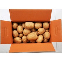 다양한 감자10kg 인기 순위 TOP100 제품 추천