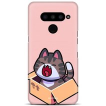 데이투데이 LG X6 케이스 박스냥이 하드 LM-X625N