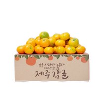 감동 제주 극조생 감귤 4.5kg 로열과, 1