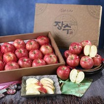 우체국쇼핑 국무총리표창 고랭지 장수사과 5kg 15~17과