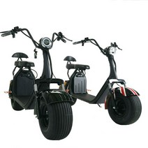일렉모터스 전동스쿠터 듀얼모터 시티코코 국내배송 AS전문 1500W, 1개, 1500W(잉글랜드 20AH 추가)
