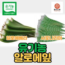 유기농 알로에 생알로에 알로에베라 사포나리아 친환경 무농약 알로에 식이섬유 다이어트 장건강, 유기농알로에베라 5kg