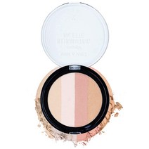 Wet n Wild Megaglo 일루미네이팅 블러쉬 팔레트 캣워크 핑크 | 하이라이터 메이크업