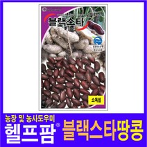헬프팜 블랙스타땅콩 50립 종자 그린하트바이오