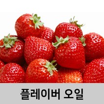 엔피솝 딸기 플레이버오일-립밤만들때첨가 DIY 만들기, 딸기 플레이버오일50ml