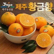 황금향 과일 제주직송 황금향 4.5kg(10-25과) / 4.5k(26-34과), 4.5k 10-25과