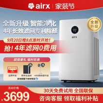 기 에어엑스 공기청정기 가정용 포름알데히드 정화기 펫 음이온 흡연기 새집 온집 A10, 01 A10-업그레이드4롱래스팅필터