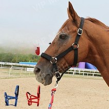 말굴레 말고삐 승마 마방굴레 로프 고삐, 파란색(어깨 높이 110-130cm)