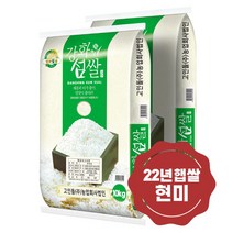 22년 햅쌀 깨끗하고 맛있는 고인돌 강화섬쌀 현미20kg, 1개