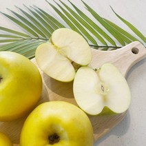 시나노 골드 가정용 쥬스용 못난이 시나노사과, 꼬마과~소과 15-18과 / 3kg, 1개, 3kg