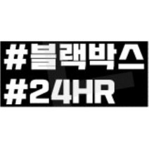 블랙박스 녹화중 스티커 데칼 24HR 24시간 스포티지 LF쏘나타 싼타페TM 미니쿠퍼 QM5 더뉴레이 익스플로러 그렌져HG 올뉴모닝 K3 YF 컨트리맨 XG 문구, 1개, 오렌지