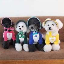 오드 스튜디오 강아지썬캡 겨울용 기모썬켑 자외선 차단 강아지 눈보호 산책 필수템, 껴또