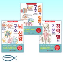 (세트) 경락·혈의 기본 + 신체와 질병의 구조 + 뇌신경 구조 (전3권)