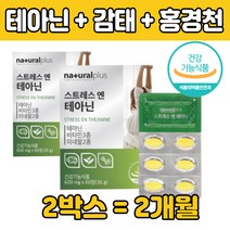스트레스 테 태 아닌 시계꽃 홍경천추출물 감태 정 미내랄 발레리안분말 캐모마일 마그내슘 산화아연 엘 테 티 야닌 L 엘 테아민 테아니 먹는 비타민 식 약처 인증 추천 건강식품