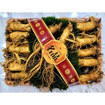 증평인삼 6년근 선물용 수삼판매 산지직송, 1, 상품옵션1/1채(750g)