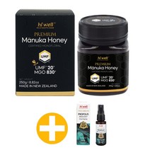 하이웰 마누카꿀 마누카허니 MGO830 UMF20 250g, 단품, 단품