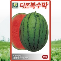 다농 더존복수박씨앗 10립, 1개