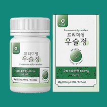 간편섭취 우슬 추출 분말 정 영양 상어연골 건강 음식 노인 어르신 노령 노년 할아버지 할머니 BOSWELLIA 우슬가루 쇠물팍 청홍합 우슬나무 보스웰릭산 그루코사민 구루코사민 글루코사민 NAG 뉴질랜드 녹색 초록 입 잎 홍합 비타민 미네랄 어골칼슘