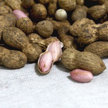 2023 국산 햇 예천땅콩 쪄먹는 피땅콩 생땅콩 흙땅콩 1kg-4kg, 1개, 피(흙)땅콩 2kg