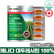 레시틴 1200 캡슐 식물성 인지질 식약처인증 순수 대두레시틴 100% 혈중 콜레스테롤 개선, 3박스, 60캡슐