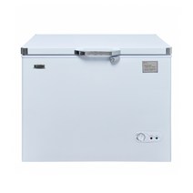 라셀르 BDN-1959 다목적 윗덮개형 냉동고 200ℓ급, 상세 참조