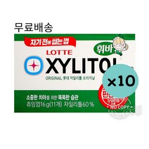 롯데 필란드 자일리톨껌 16gx10개, 16g, 10개