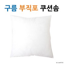 구름 실크 쿠션솜l 쿠션 l 압축포장 l 쿠션솜45 PTH, 유화쿠션커버(민트)
