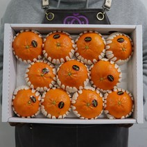 제주 레드향 제주레드향 가정용 선물세트 3kg 5kg, 제주 레드향 선물용 5kg 10-18과, 1개