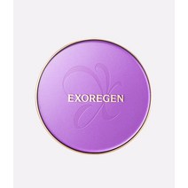 엑소리젠 글로우 퍼펙트 엑소좀 쿠션