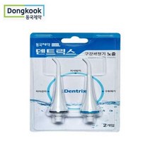 동국제약 덴트릭스 구강세정기 노즐 2개, 단품/free
