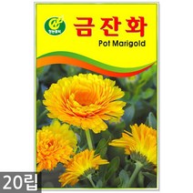 강낭콩 2g - 콩 씨 씨앗 강낭콩씨앗 강남콩씨앗 강낭콩씨, 05_청농_금잔화(20립)