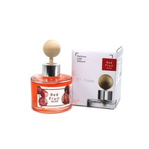 FXX558620HJ 올레비엔 퍼퓸 카디퓨저 120ml 5종택1, 레드프룻