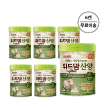 파스퇴르 특허받은 유산균체 초록이 위드맘 산양 분유 2단계 750g x 6캔