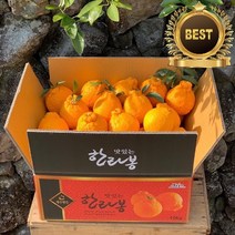 새콤달콤 명품 제주 한라봉 산지직송, 가정용중과, 3kg(10~14과)