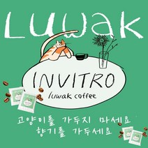 [당일 로스팅 당일 출고] 인비트로 루왁 사향고양이 저카페인 발효커피 (원두 드립백), 200g 원두(분쇄도:굵은 분쇄)