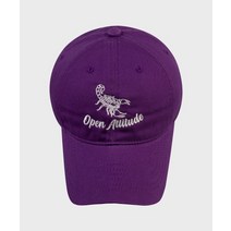 OPEN ATTITUDE SCORPION BALL CAP-PURPLE(스콜피온 볼캡-퍼플)