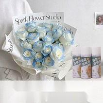 생화 스프레이 꽃 특수 염료 착색제 플라워 컬러 스프레이, 미드나잇 블루 450ml 전용 컬러 친환경 포