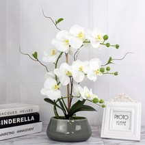 중형 호접란 꽃줄기_1p 화분연출 8개꽃 인조 난꽃, 퍼플