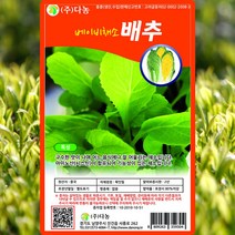 베이비배추 씨앗 베이비배추 씨 종자 10g, 단품