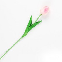 생활살림 인테리어 및 촬영소품 인조 조화 나무 꽃 장식, 인테리어 나뭇잎 Pink tulip