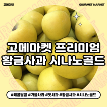 [고메마켓] 프리미엄 아삭상큼 황금사과 가을제철 시나노골드 사과 실중량 4.5kg 9kg 정품 꿀 사과, 황금사과 시나노골드 중과 9kg ( 31-35과)