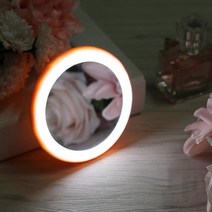 휴대용 미니 LED 손거울 콤팩트 화장거울 조명거울, 미니LED손거울그린