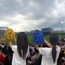 금색 응원 도구 수술 운동회 축구 야구 응원피켓 대학교 체육대회 치어리딩 재롱잔치 월드컵 응원봉 단체
