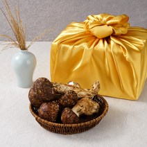 자연산 송이버섯 생송이버섯 선물세트 설 추석 명절 선물용, 1박스, 특품 500g