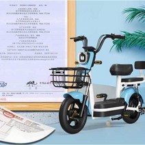 어르신전동차 삼륜 노인 바이크 전동 스쿠터 관부가세포함, B